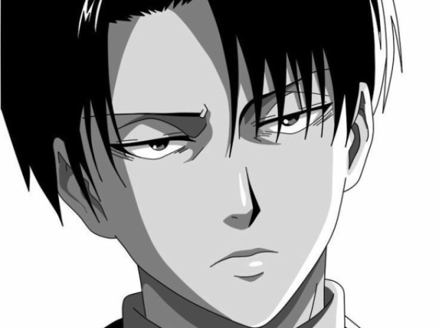 Levi