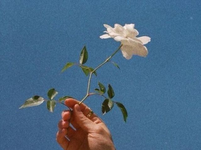 Escolha um aesthetic e eu te darei uma música!