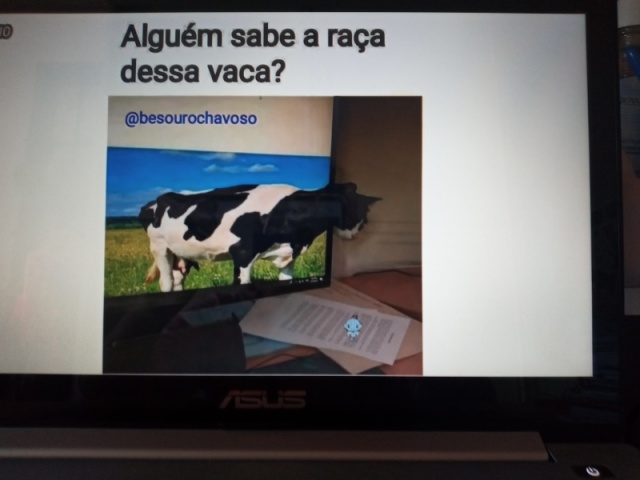 Falar a verdade na cara dos outros