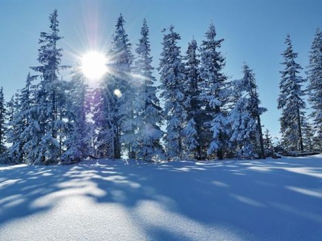 Óbviamente eu sei, é o inverno