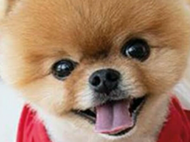 Ownt que fofura! ๐๐ค