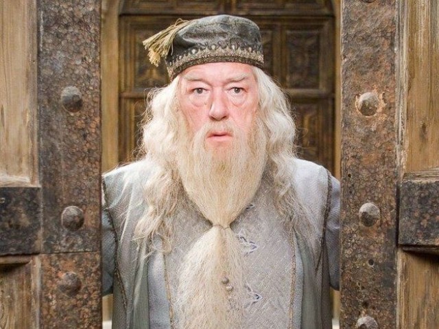 Dumbledore (Harry Potter)
"Não vale a pena viver sonhando e esquecer de viver"