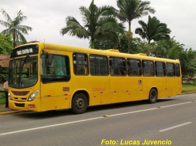 vou de ônibus