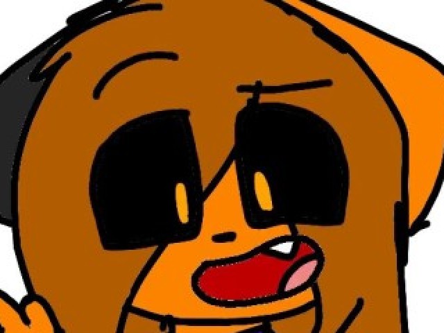 cachoro
