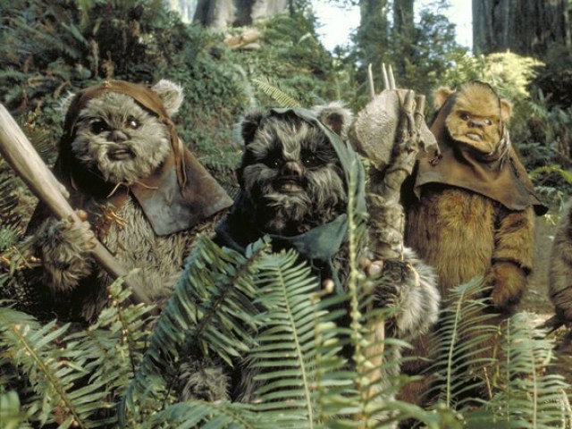 Ewok