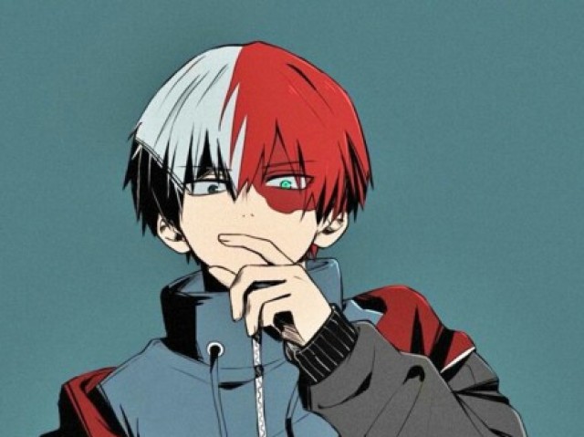 Todoroki,