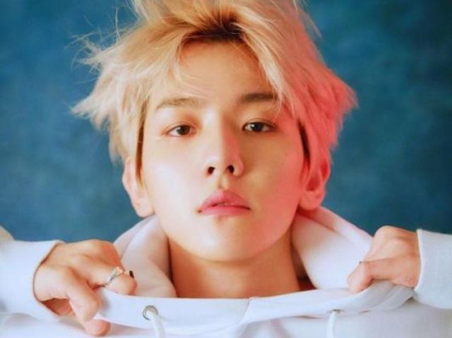 baekhyun - exo