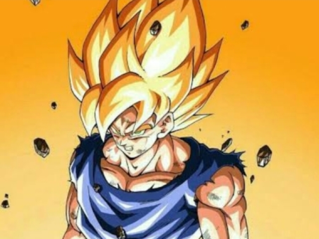 SSJ1