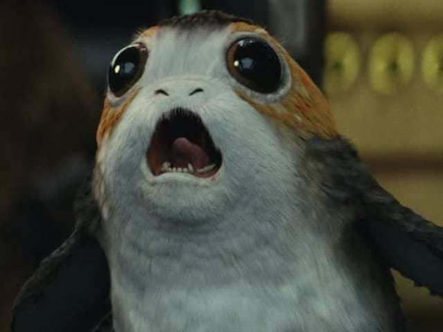 Porg