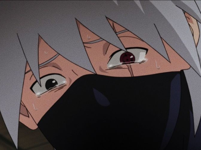 Kakashi lindo, gato, maravilhoso. :p