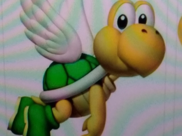 Koopa patropa