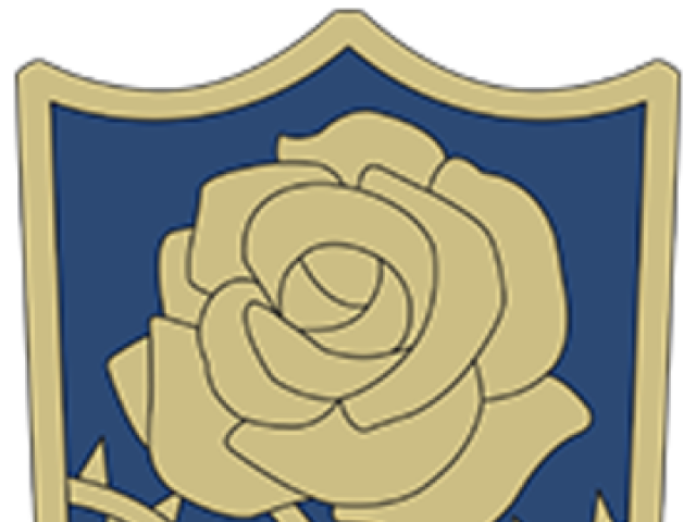 Rosas azuis