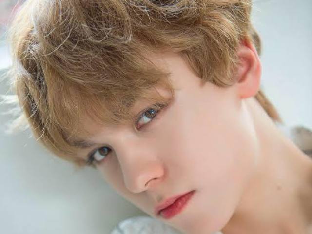 Vernon (Seventeen)