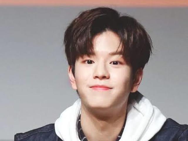 Seungmin (Stray Kids)