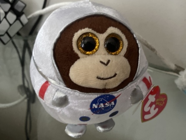 Macaco astronauta