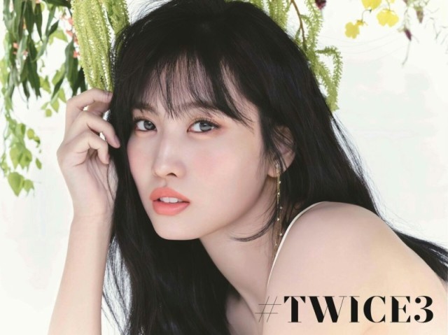 ➮Momo 𑁍