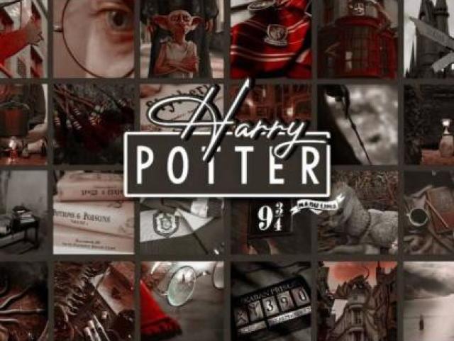 Você conhece mesmo Harry Potter?