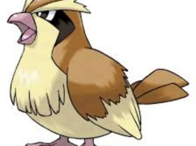 Pidgey