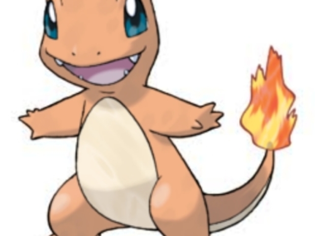 CHARMANDER