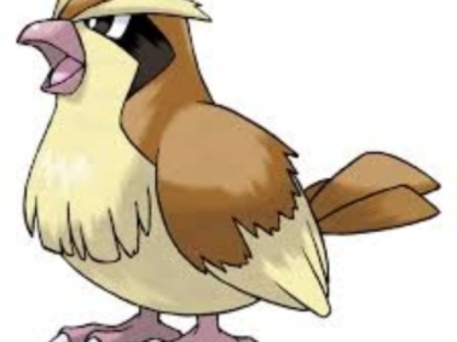 PIDGEY