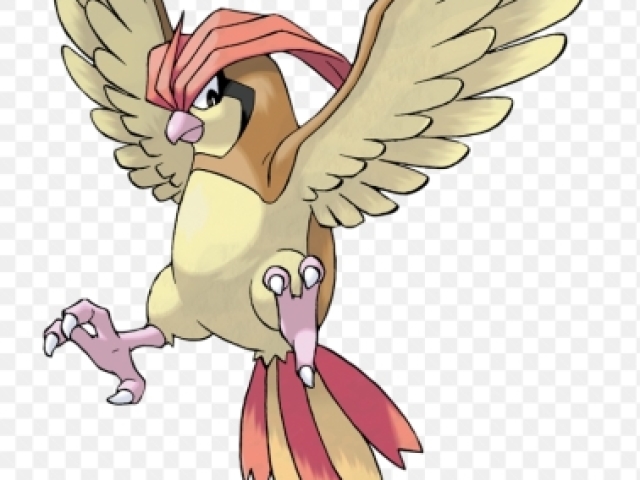 PIDGEOTTO