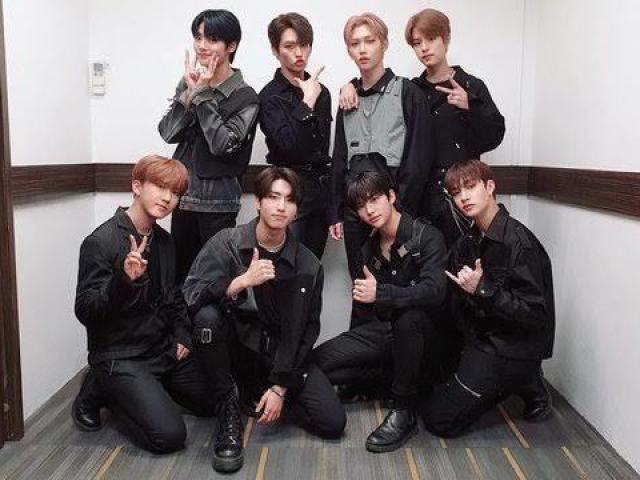 Você conhece o Stray Kids?