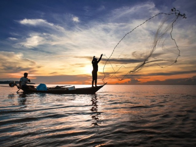 pesca e vegetação