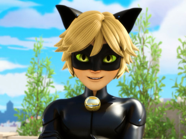 cat noir