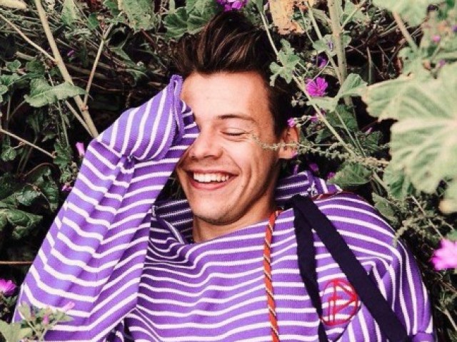 Escolha as opções e te indicarei uma música do Harry Styles