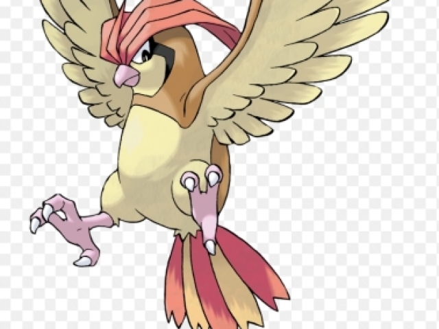 PIDGEOTTO