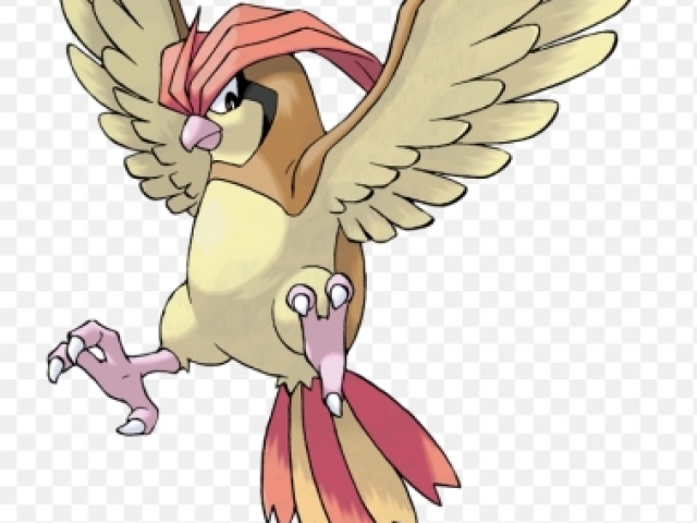 PIDGEOTTO