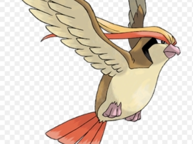 PIDGEOT