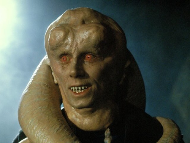 Bib Fortuna