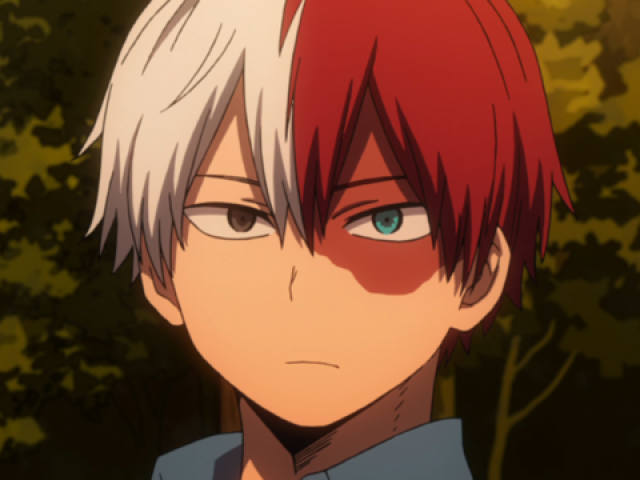 Todoroki