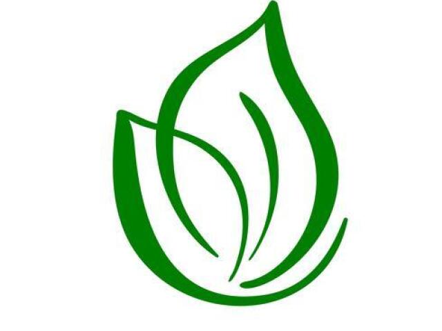 Planta
