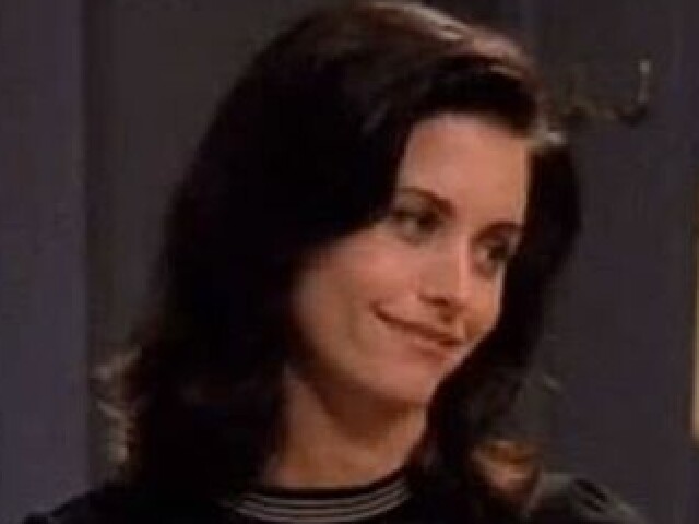 monica geller
amorosa e amigável.