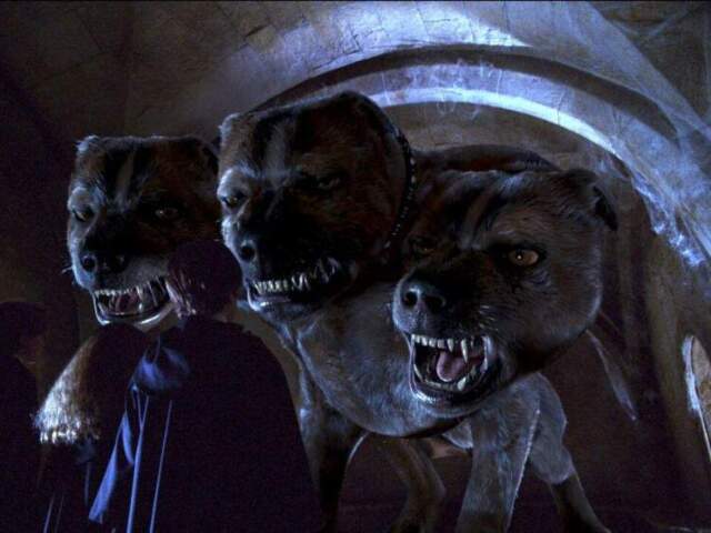 Fofo o cão de três cabeças