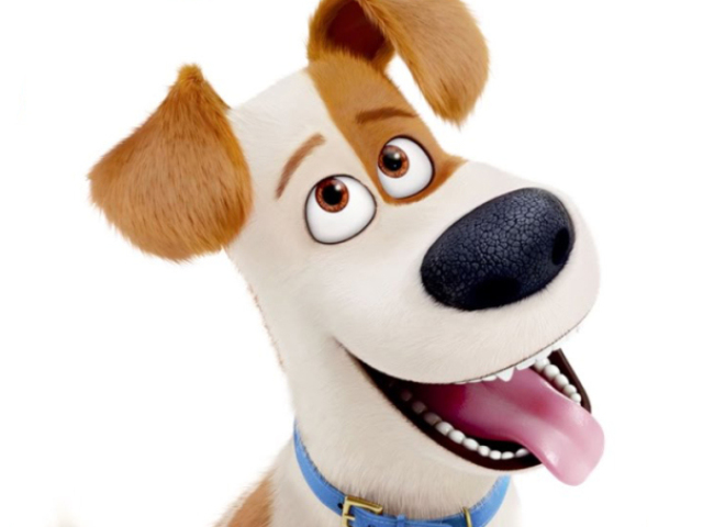 Parabéns, você é o Max!