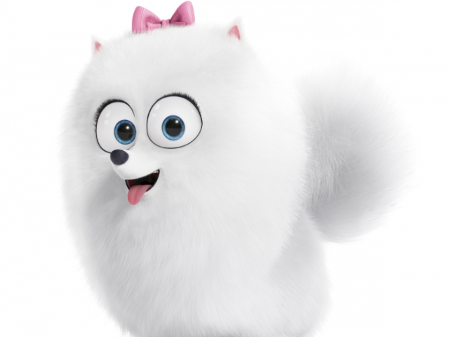 Parabéns, você é a Gidget