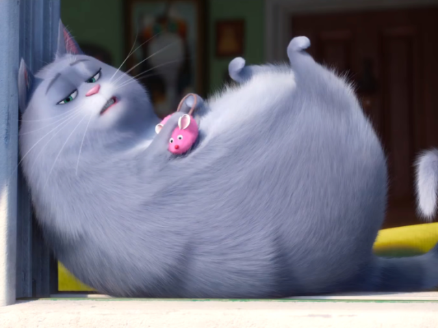 Parabéns, você é a Chloe!