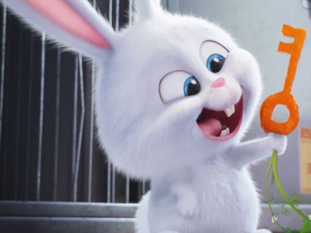 Parabéns, você é o Snowball!