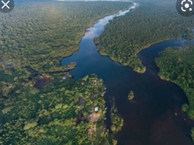 AMAZÔNIA