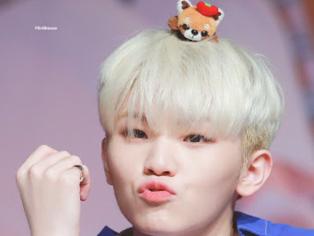 woozi