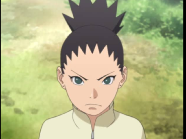 Você é o Shikadai!