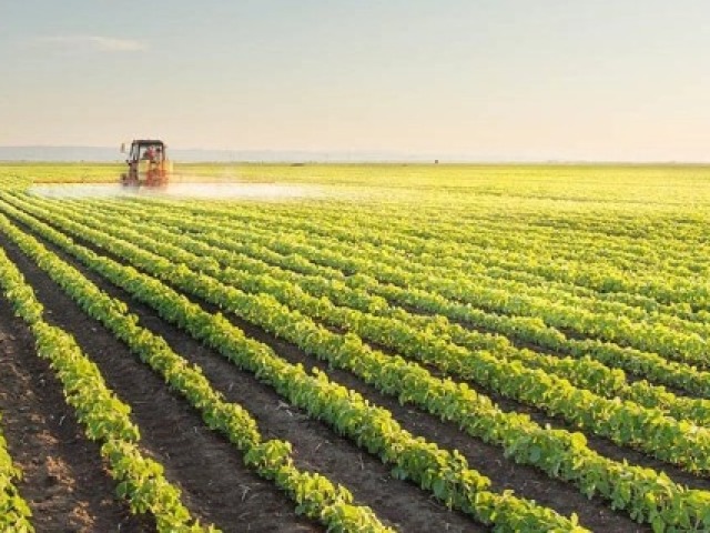 Por causa de minha vasta área para a agricultura.