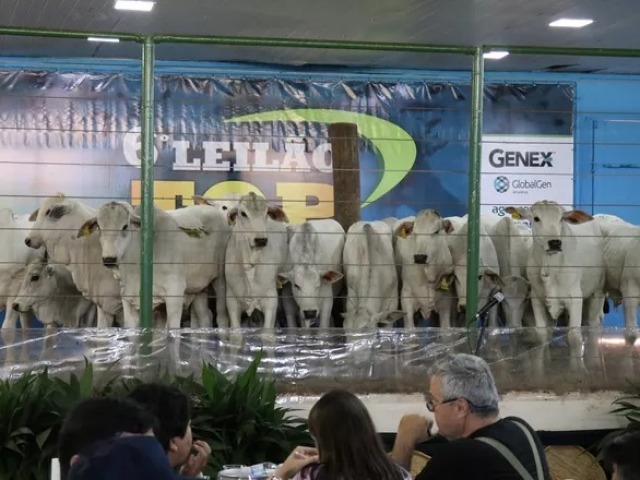 Porque sou o maior leiloeiro do Brasil.