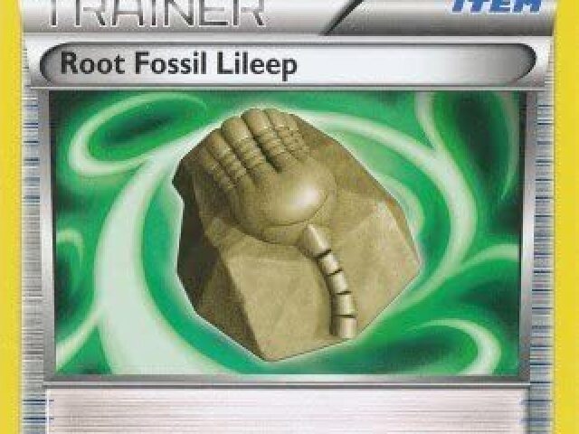 Root fossil