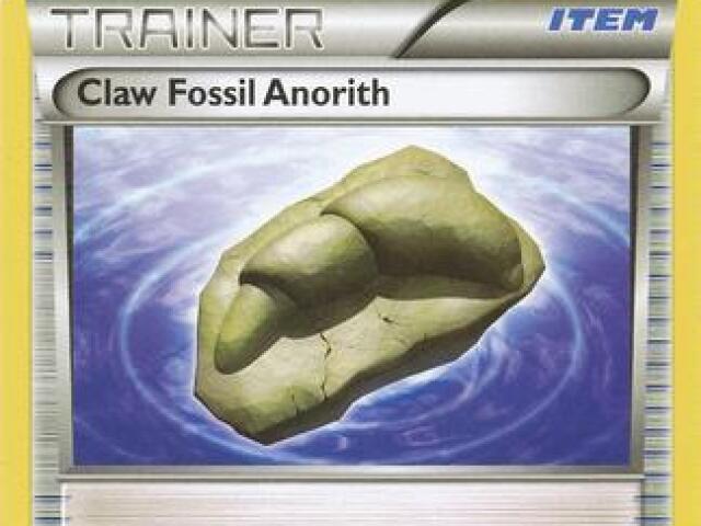 Claw fossil