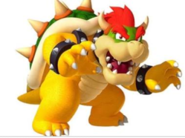 Bowser