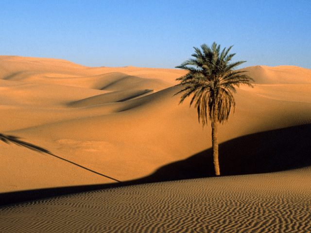 deserto